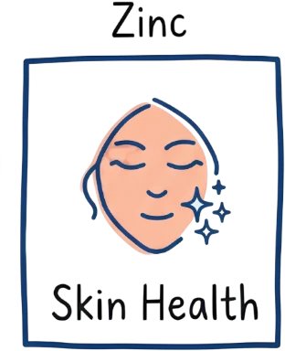 Zinc — Skin Health